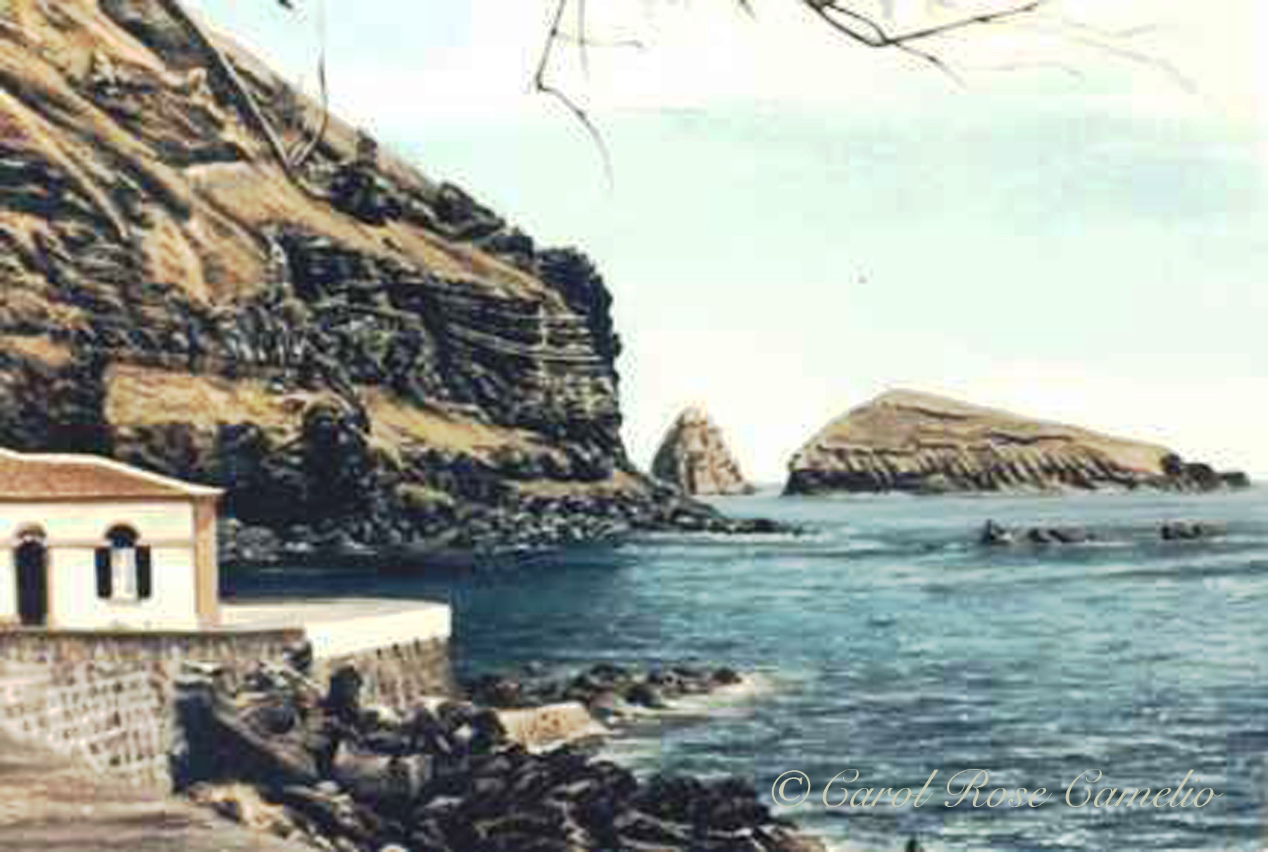 The Azores: A scene of a rocky seaside cliff.