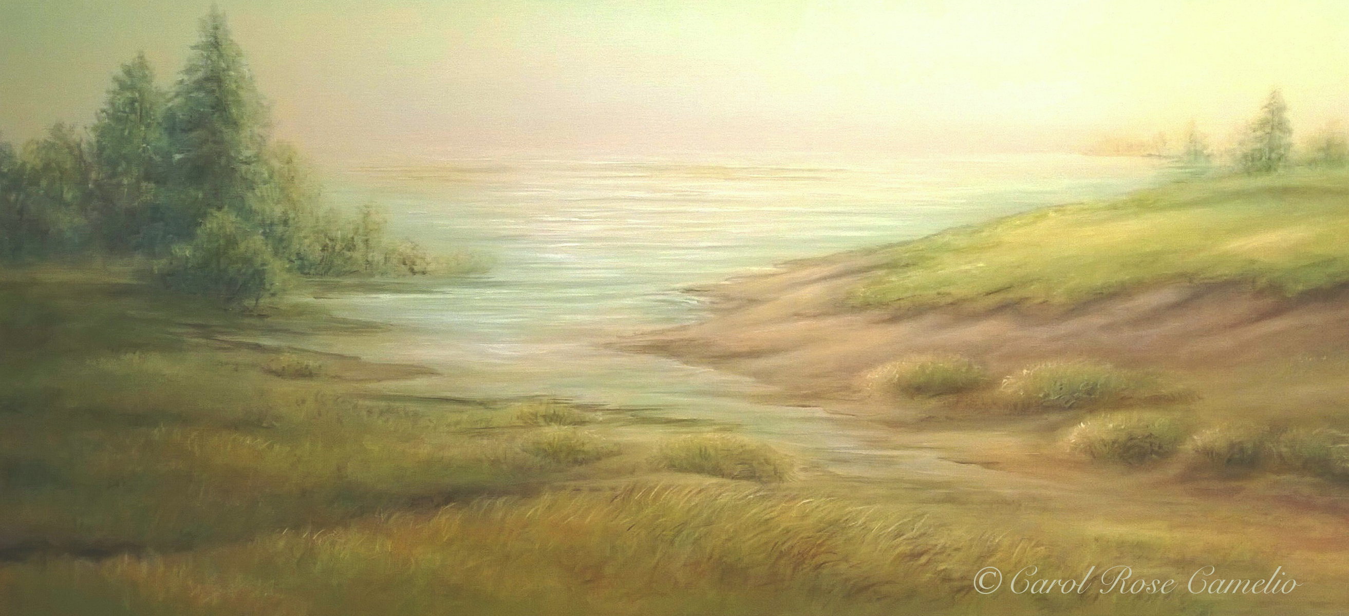 The Cove: On a foggy pastoral coast, water seeps between two gentle hills.