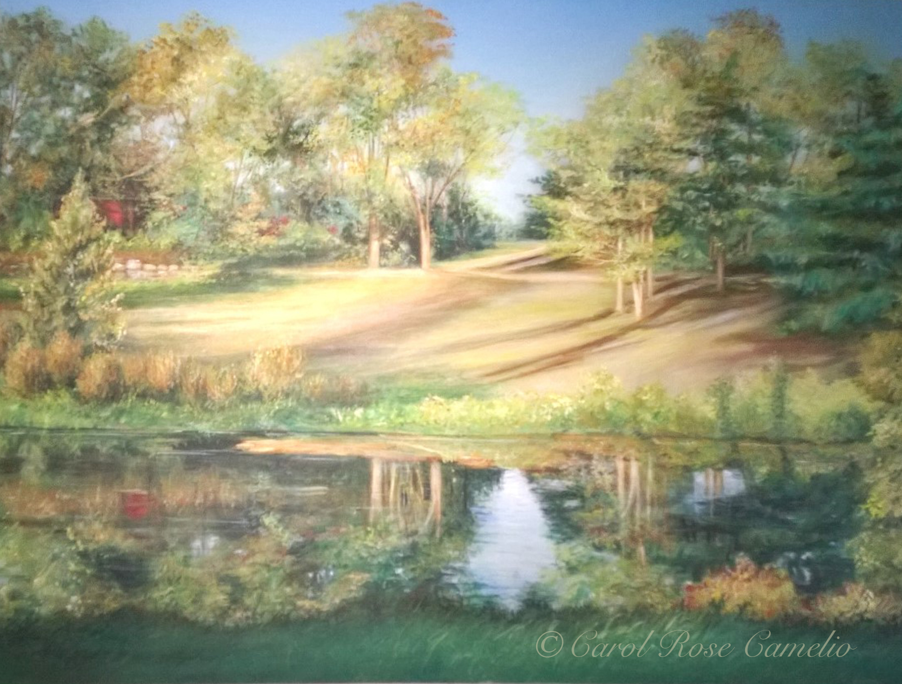 Great Brook Farm: A sunny reflective pond surrounded by plants, with trees and a barn in the distance.