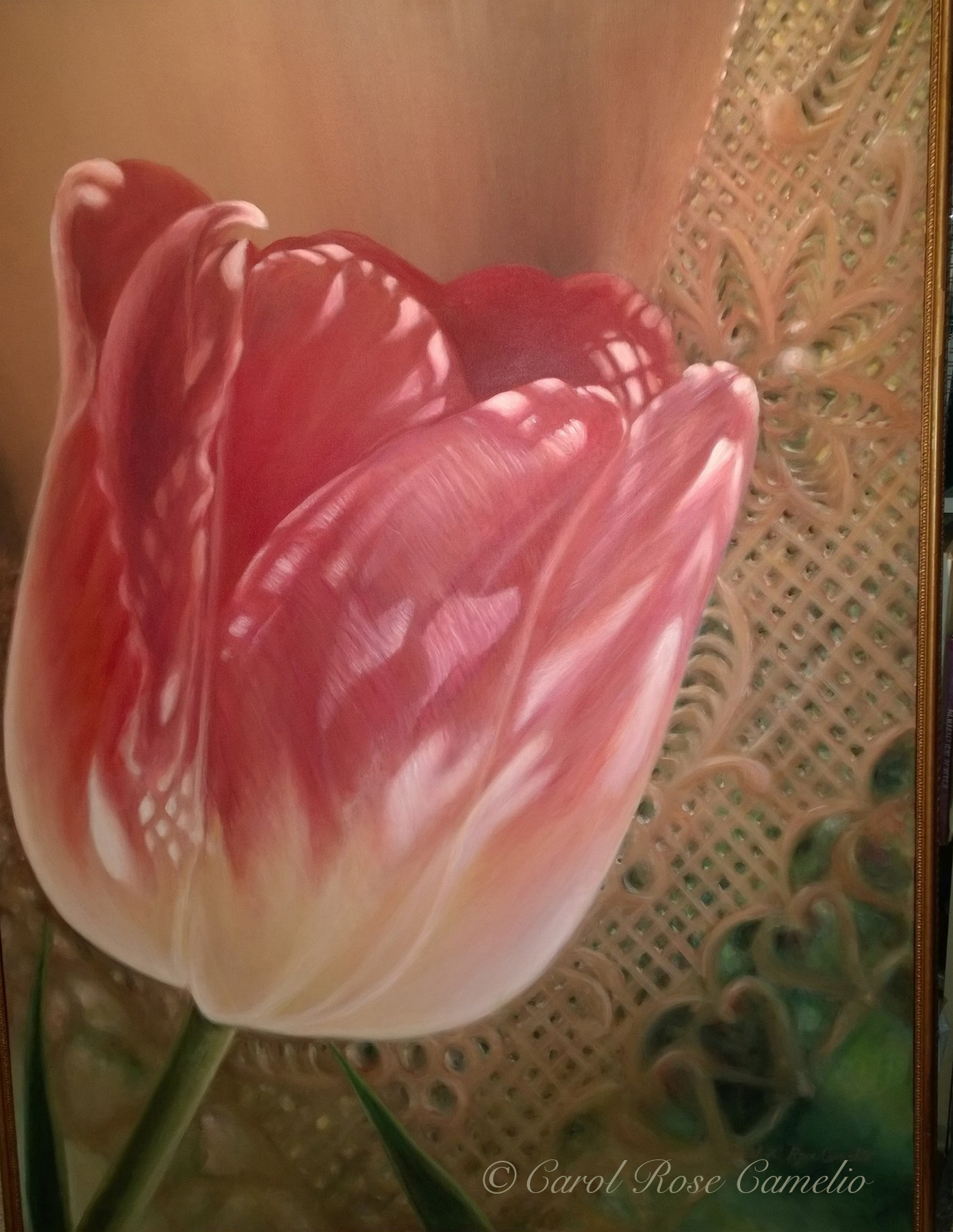Tulip: A closeup of a sunlit pink tulip, with a decorative doily in the background.